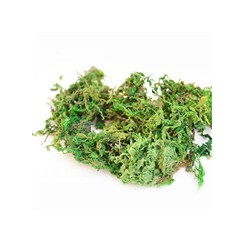 СТЕЛА АРТ горски мъх, 30 g в кутия