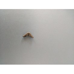 ЪГЪЛЧЕ ЗА КАРТИЧКА/АЛБУМ  ЗЛАТО 8бр 1,5/1,5см